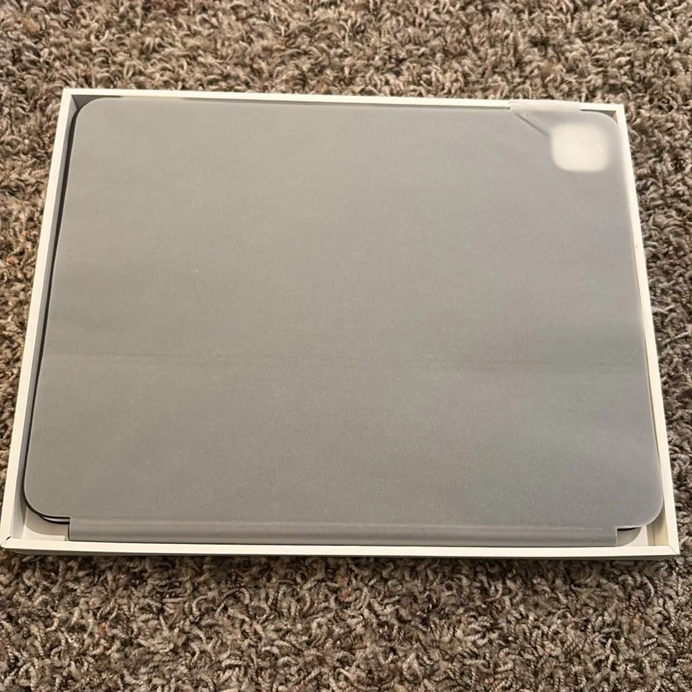 Apple 13